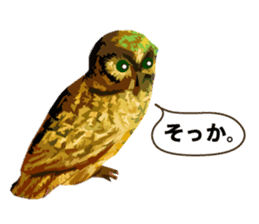 40 Owls_vol.1 sticker #7306103
