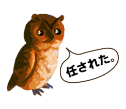 40 Owls_vol.1 sticker #7306105