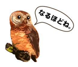 40 Owls_vol.1 sticker #7306110