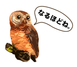 40 Owls_vol.1 sticker #7306110