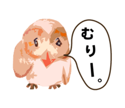 40 Owls_vol.1 sticker #7306112