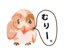 40 Owls_vol.1 sticker #7306112