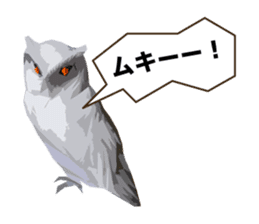 40 Owls_vol.1 sticker #7306113