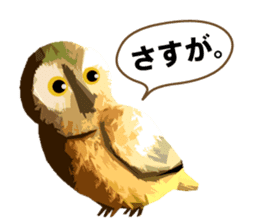 40 Owls_vol.1 sticker #7306114