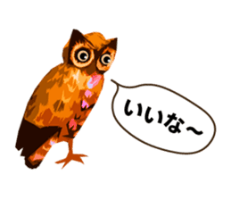40 Owls_vol.1 sticker #7306115