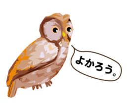 40 Owls_vol.1 sticker #7306121