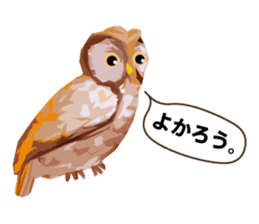 40 Owls_vol.1 sticker #7306121