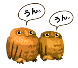 40 Owls_vol.1 sticker #7306124