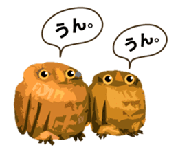 40 Owls_vol.1 sticker #7306124