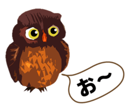 40 Owls_vol.1 sticker #7306125
