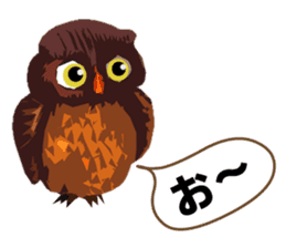 40 Owls_vol.1 sticker #7306125