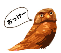 40 Owls_vol.1 sticker #7306127