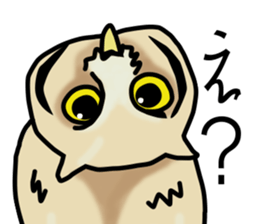 Owls looking at you sticker #7306409