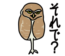 Owls looking at you sticker #7306411
