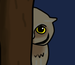 Owls looking at you sticker #7306413