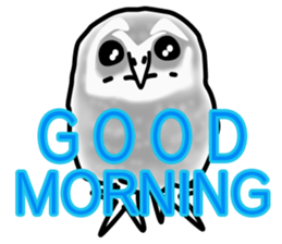 Owls looking at you sticker #7306414