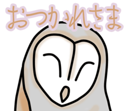 Owls looking at you sticker #7306415