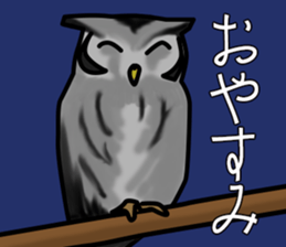 Owls looking at you sticker #7306420