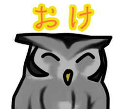 Owls looking at you sticker #7306421