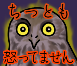 Owls looking at you sticker #7306423