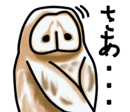 Owls looking at you sticker #7306424