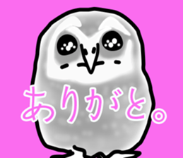 Owls looking at you sticker #7306429