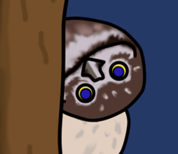 Owls looking at you sticker #7306433