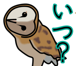 Owls looking at you sticker #7306434