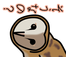 Owls looking at you sticker #7306435