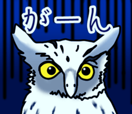 Owls looking at you sticker #7306436