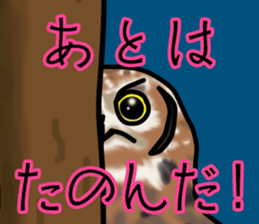 Owls looking at you sticker #7306438