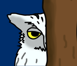 Owls looking at you sticker #7306439