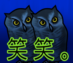 Owls looking at you sticker #7306441