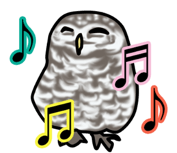 Owls looking at you sticker #7306442