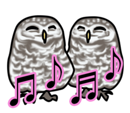 Owls looking at you sticker #7306443