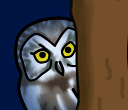 Owls looking at you sticker #7306446