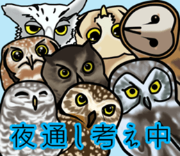 Owls looking at you sticker #7306447