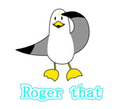 here the black tailed gull again!! sticker #7306688