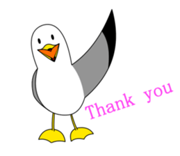 here the black tailed gull again!! sticker #7306689