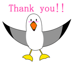 here the black tailed gull again!! sticker #7306690