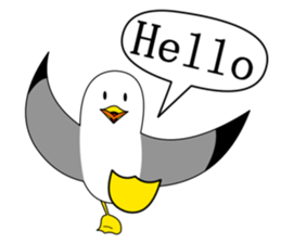 here the black tailed gull again!! sticker #7306692