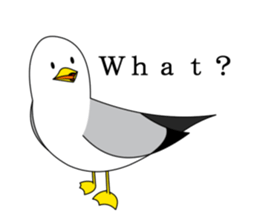 here the black tailed gull again!! sticker #7306694