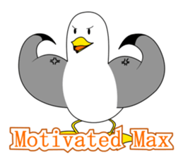 here the black tailed gull again!! sticker #7306696