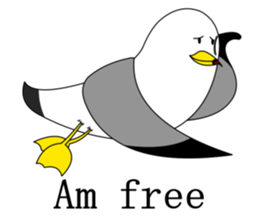 here the black tailed gull again!! sticker #7306699