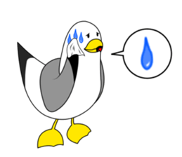 here the black tailed gull again!! sticker #7306704