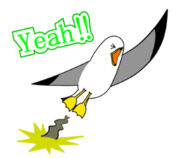 here the black tailed gull again!! sticker #7306706