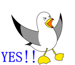 here the black tailed gull again!! sticker #7306707