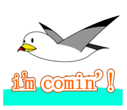 here the black tailed gull again!! sticker #7306709