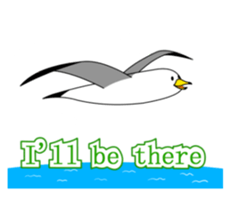 here the black tailed gull again!! sticker #7306710