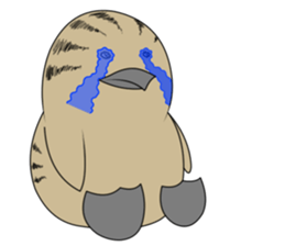 here the black tailed gull again!! sticker #7306715